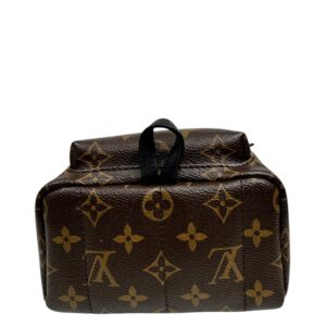Louis Vuitton Sac à dos « Palm Springs Mini » en toile Monogram