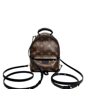 Louis Vuitton Sac à dos « Palm Springs Mini » en toile Monogram