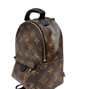 Louis Vuitton Sac à dos « Palm Springs Mini » en toile Monogram