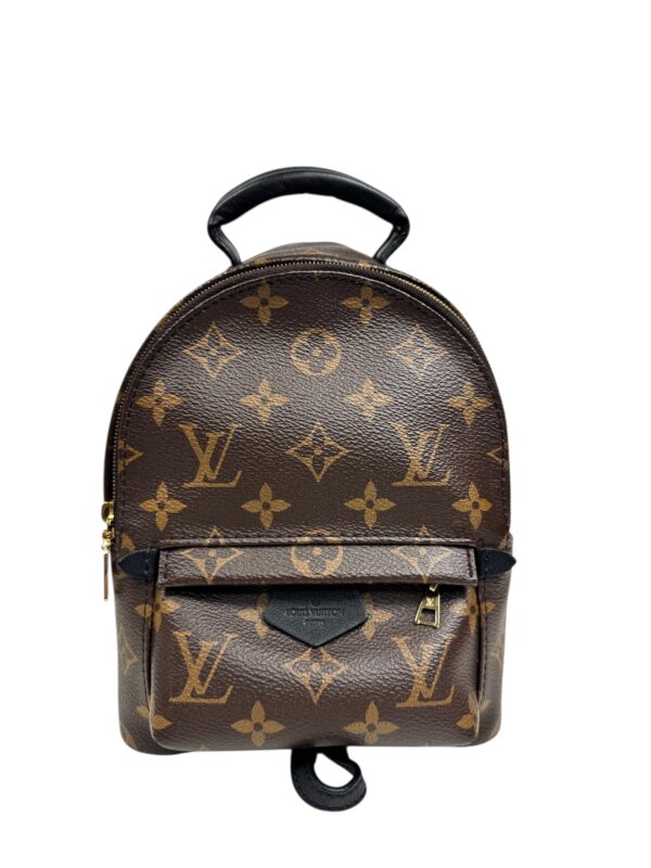 Louis Vuitton Sac à dos « Palm Springs Mini » en toile Monogram